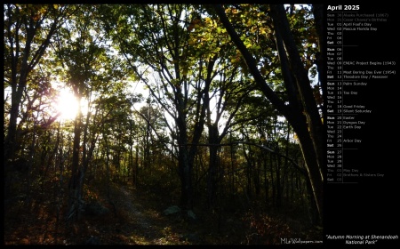 Autumn Morning at Shenandoah National Park