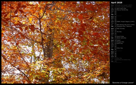Branches of Orange Leaves