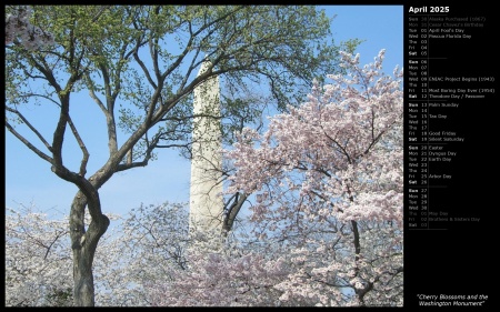 Cherry Blossoms and the Washington Monument