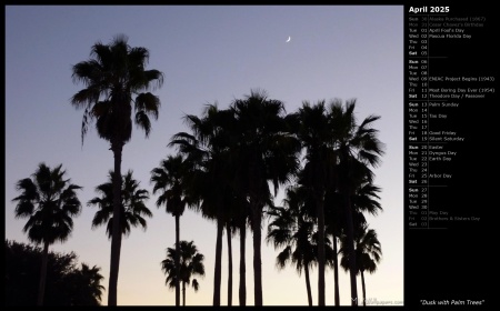 Dusk with Palm Trees