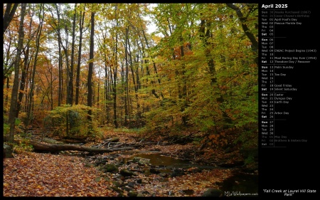 Fall Creek at Laurel Hill State Park
