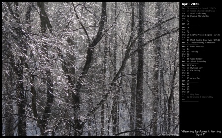 Glistening Icy Forest in Morning Light I