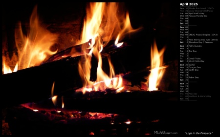 Logs in the Fireplace