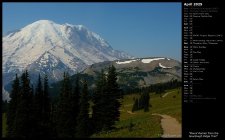 Mount Rainier from the Sourdough Ridge Trail
