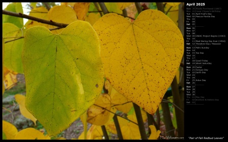 Pair of Fall Redbud Leaves