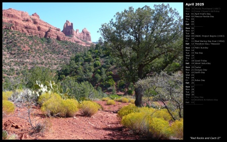 Red Rocks and Cacti II