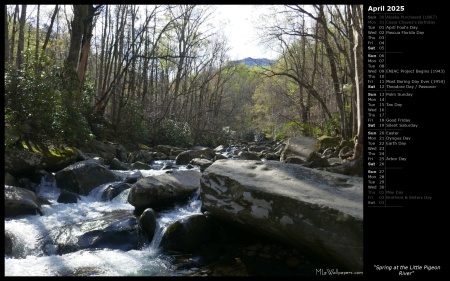 Spring at the Little Pigeon River