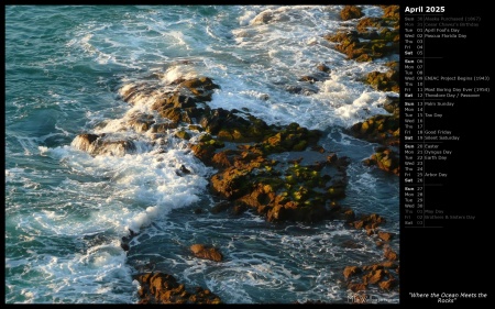 Where the Ocean Meets the Rocks