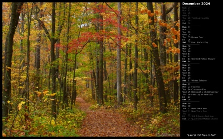 Laurel Hill Trail in Fall