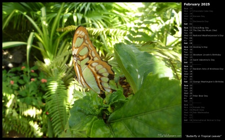 Butterfly in Tropical Leaves
