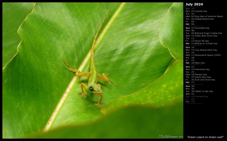 Green Lizard on Green Leaf