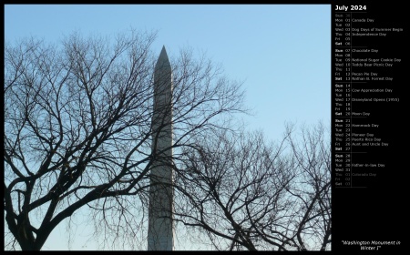 Washington Monument in Winter I
