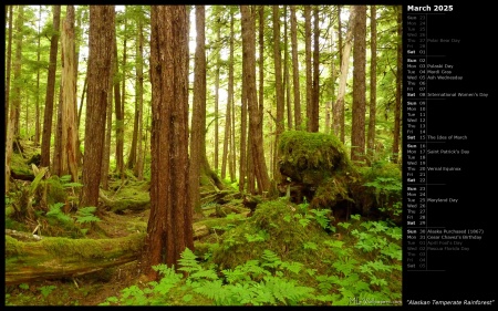 Alaskan Temperate Rainforest