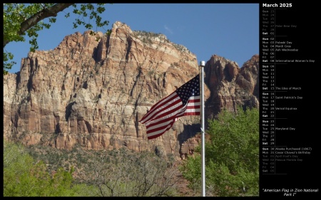 American Flag in Zion National Park I