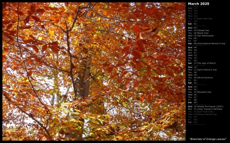 Branches of Orange Leaves