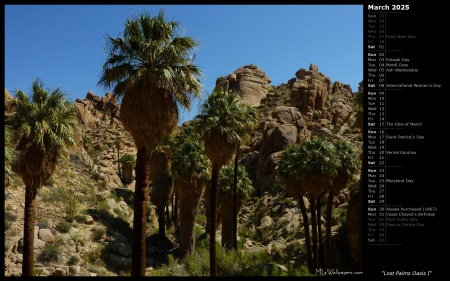 Lost Palms Oasis I
