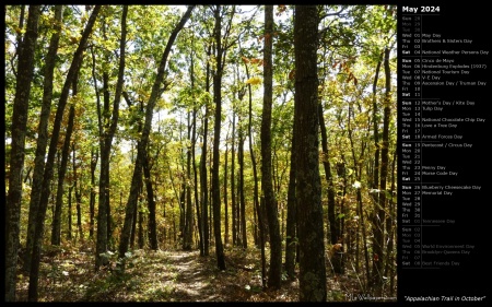 Appalachian Trail in October