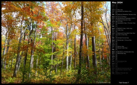 Fall Forest I