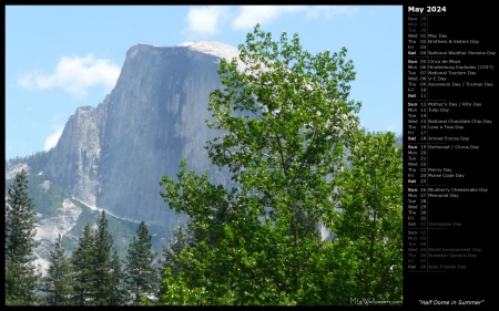Half Dome in Summer