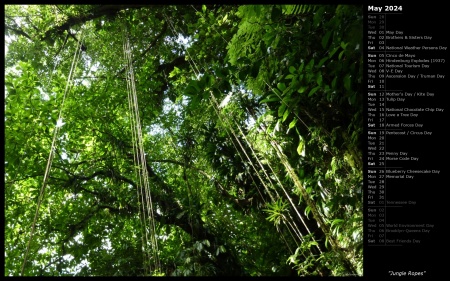 Jungle Ropes
