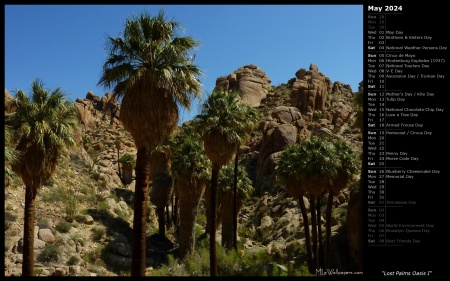 Lost Palms Oasis I