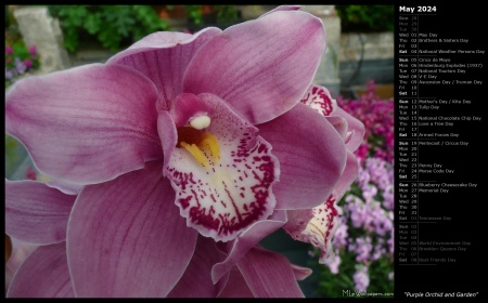 Purple Orchid and Garden