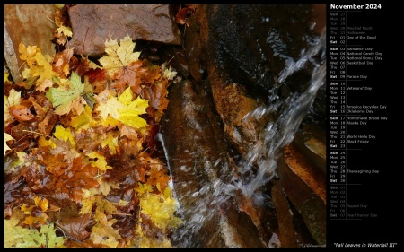 Fall Leaves in Waterfall III