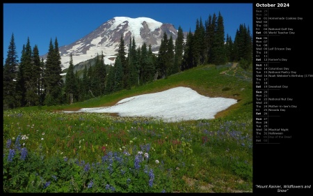Mount Rainier, Wildflowers and Snow