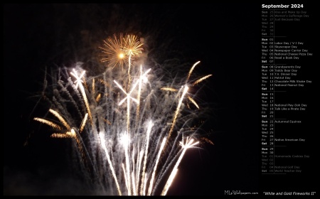 White and Gold Fireworks II