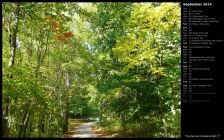 Centennial Wooded Path I