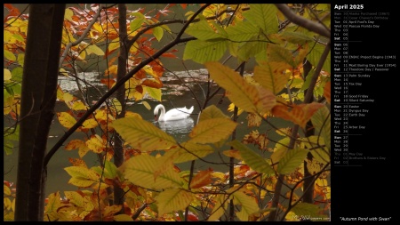 Autumn Pond with Swan