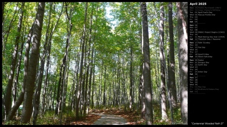 Centennial Wooded Path II