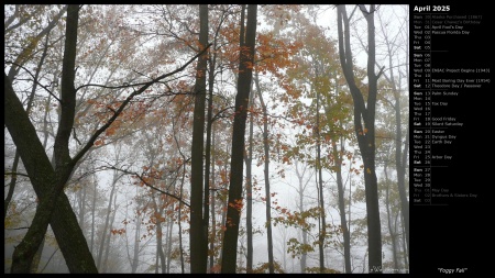 Foggy Fall