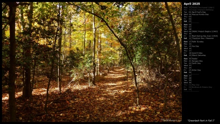 Greenbelt Park in Fall I
