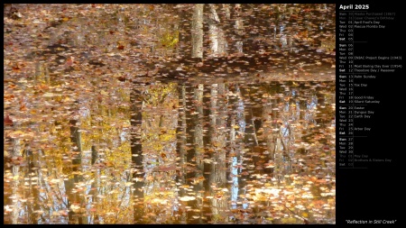 Reflection in Still Creek