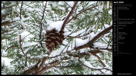 Snowy Pine Cone II