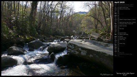 Spring at the Little Pigeon River