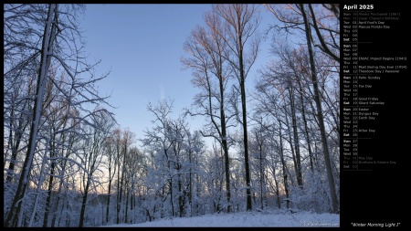 Winter Morning Light I
