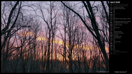 Winter Sunrise II