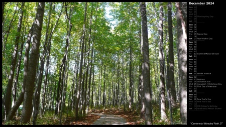 Centennial Wooded Path II