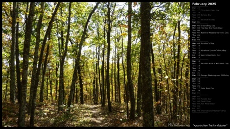 Appalachian Trail in October
