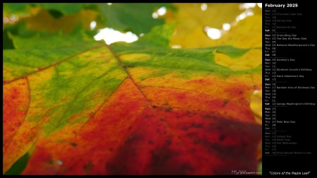 Colors of the Maple Leaf