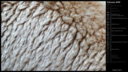 Sheep's Wool