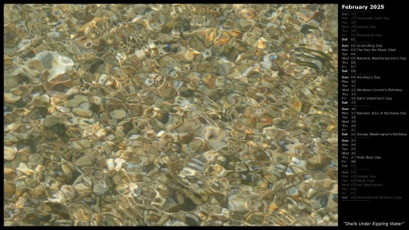 Shells Under Rippling Water