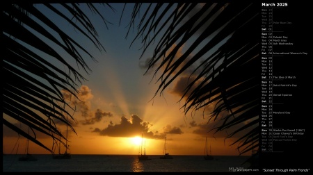Sunset Through Palm Fronds