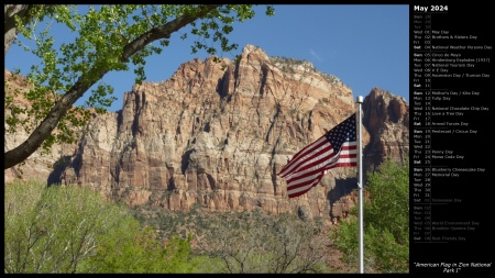 American Flag in Zion National Park I