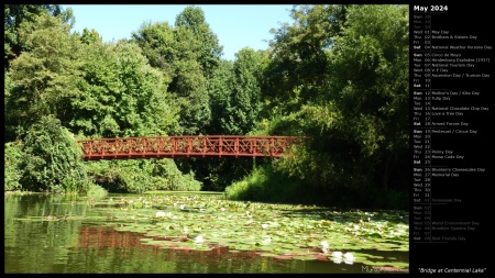 Bridge at Centennial Lake
