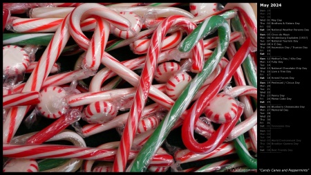 Candy Canes and Peppermints
