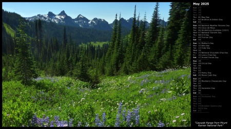 Cascade Range from Mount Rainier National Park