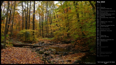 Fall Creek at Laurel Hill State Park